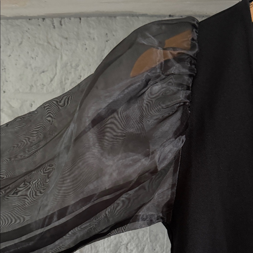 Zara Black V-Neck Top with Sheer Puff Sleeves - Picture 3 of 6